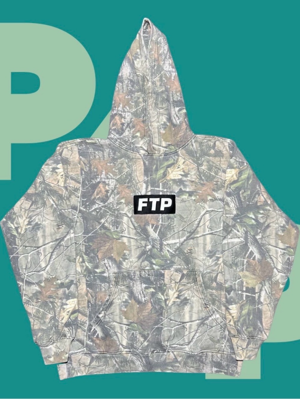 FTP Box Logo Hoodie (Large)